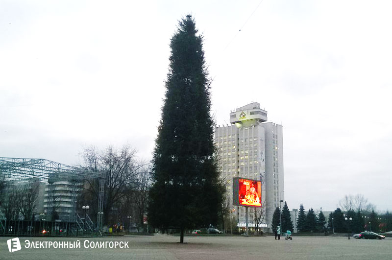 елка в Солигорске