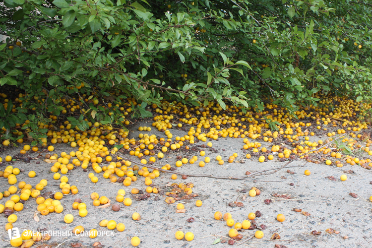 улица Строителей Солигорск