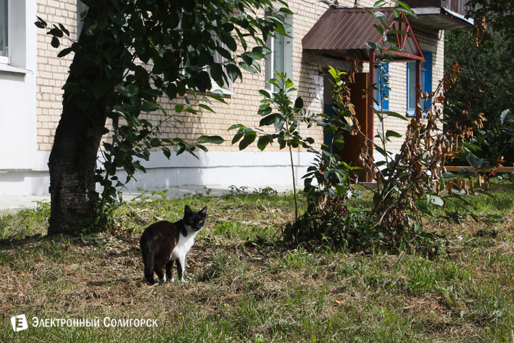 улица Строителей Солигорск