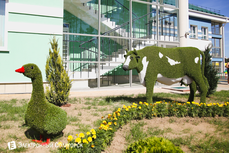 топиарные фигуры детский сад