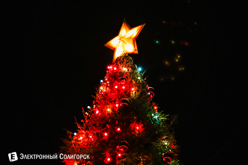 новогодняя елка Солигорск