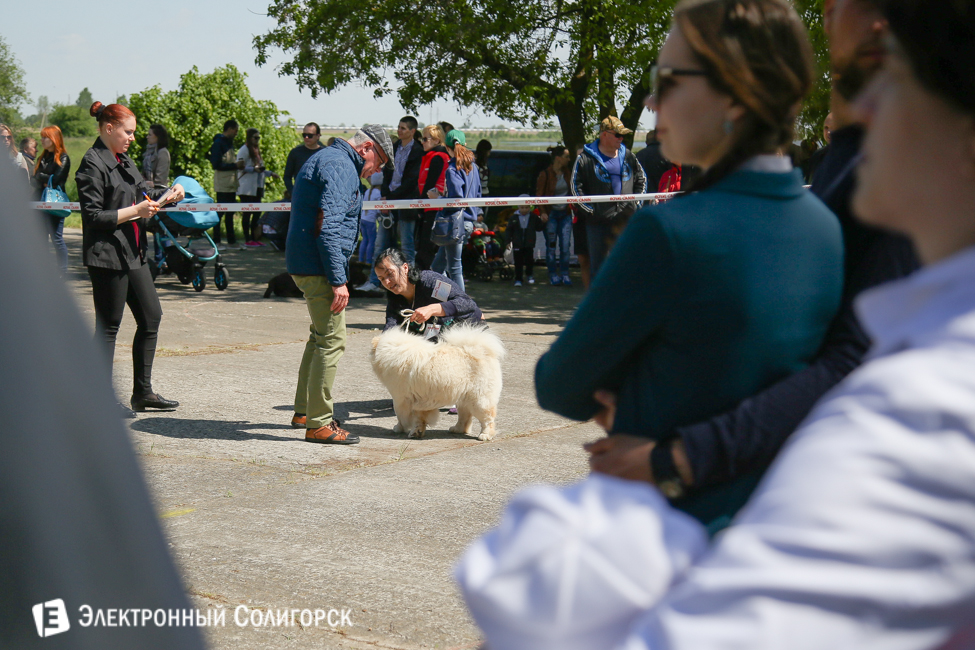 выставка собак в Солигорске