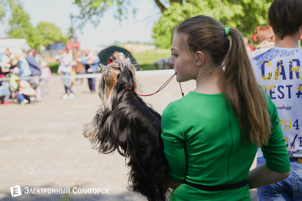 выставка собак в Солигорске