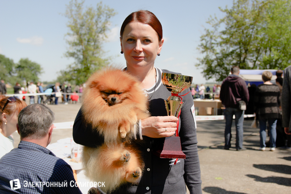 выставка собак в Солигорске