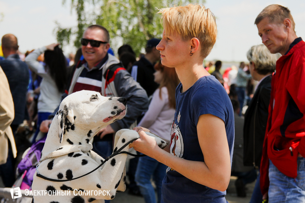 выставка собак в Солигорске