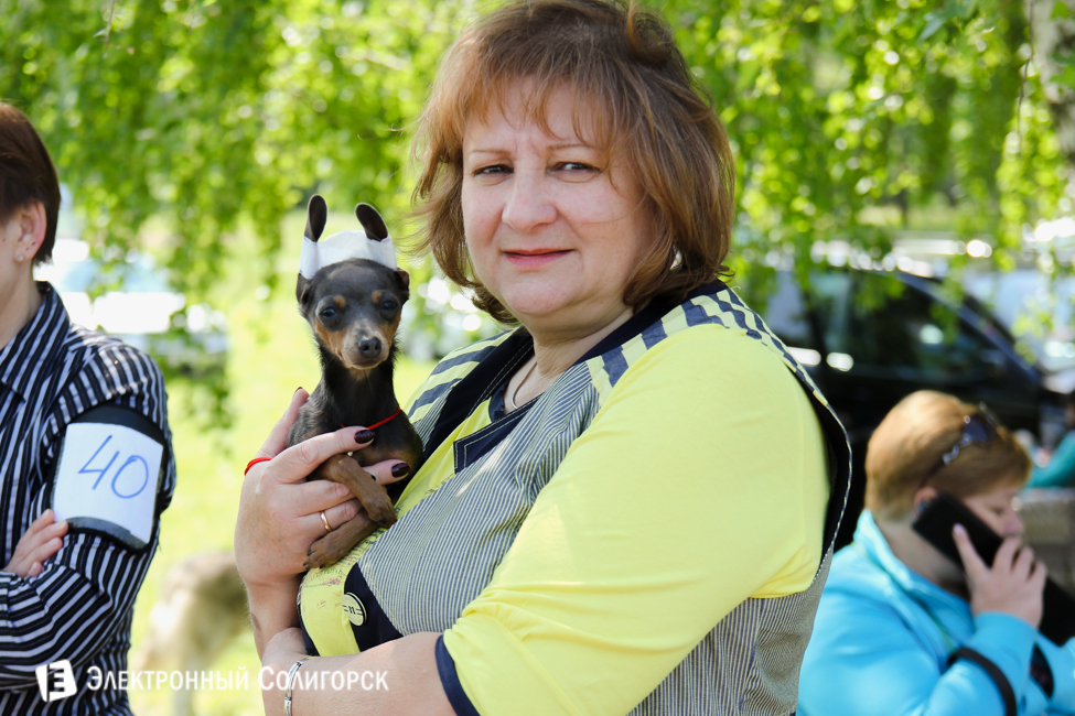 выставка собак в Солигорске