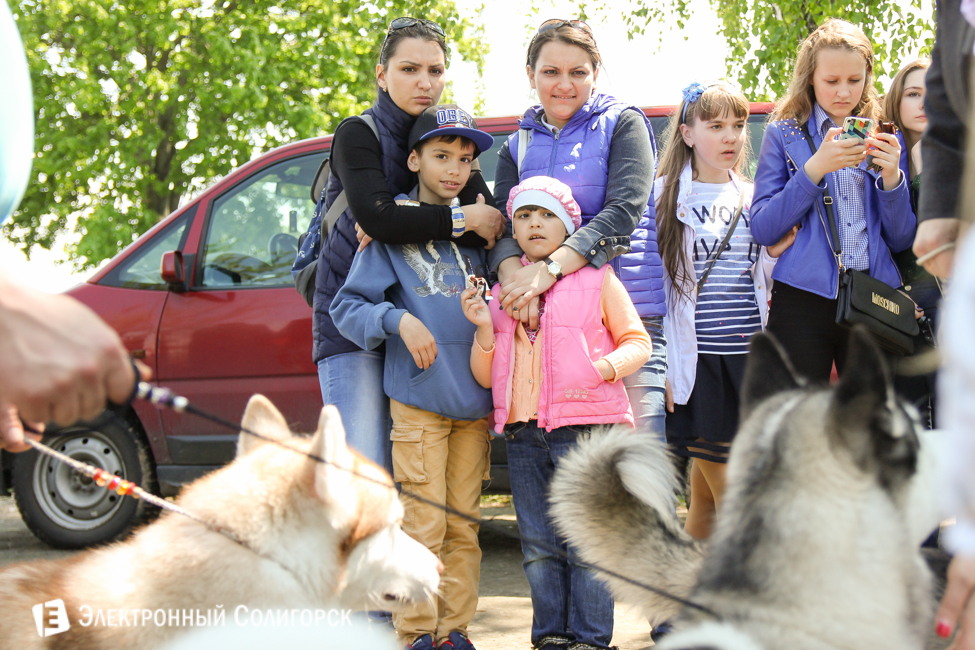 выставка собак в Солигорске