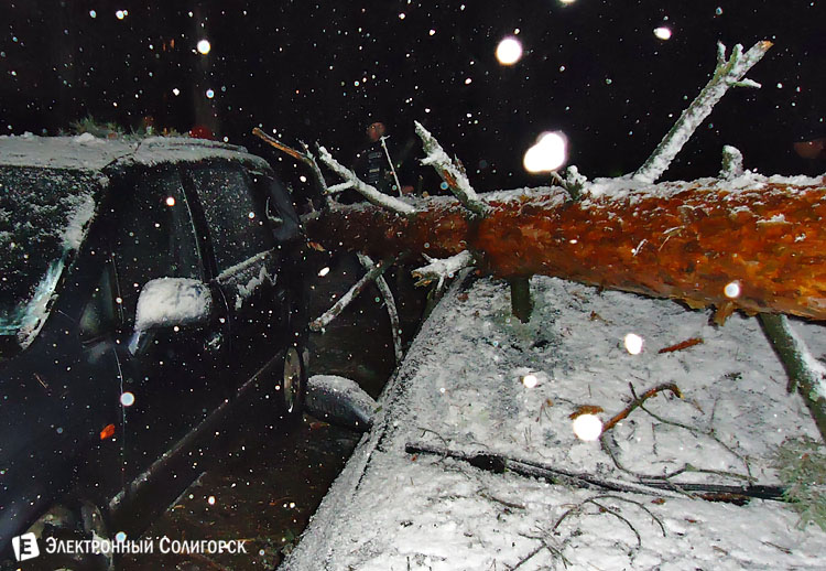 Дерево упало на авто в Солигорске