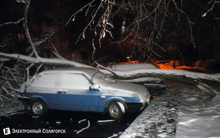 Дерево упало на авто в Солигорске