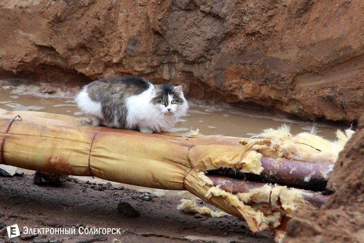 "строительство