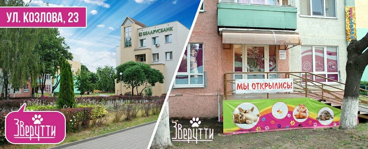 zverutti soligorsk