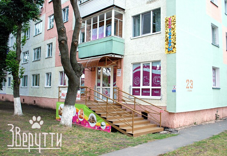zverutti soligorsk5