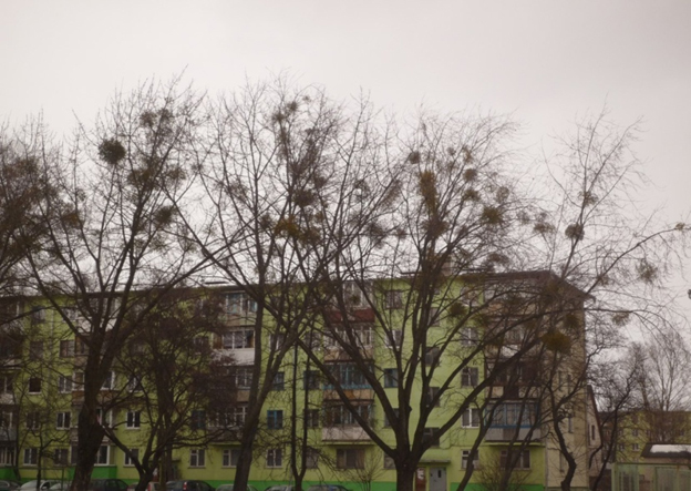 school4 4