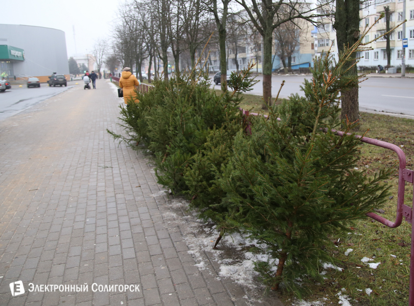 где купить елку Солигорск