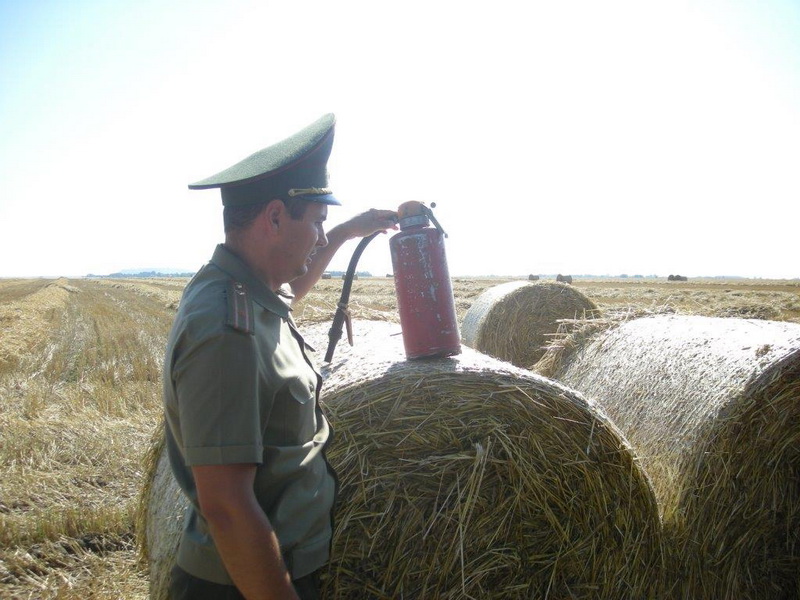 urozhaj3