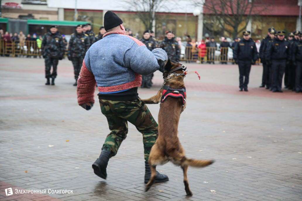 милиция Солигорск