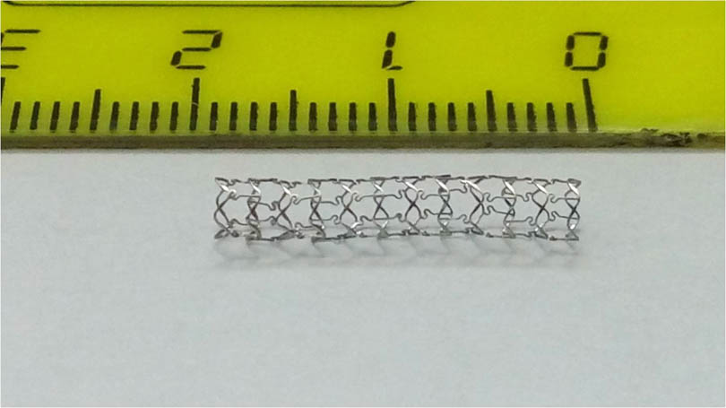 stent