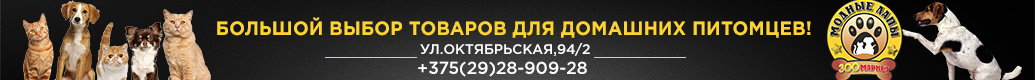 ЗооМаркет Модные Лапы солигорск