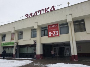 zlatka