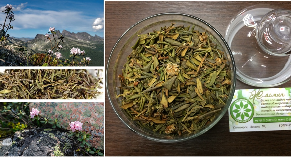 tea1