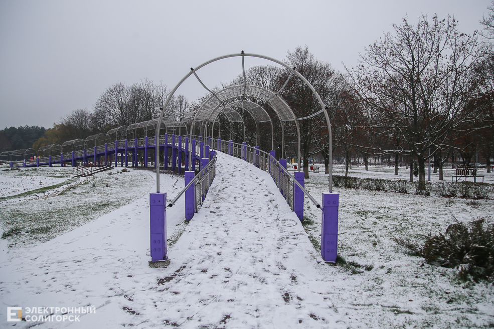 snow10