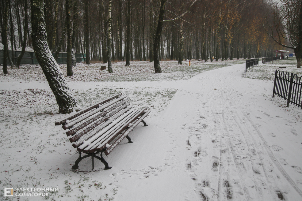 snow10