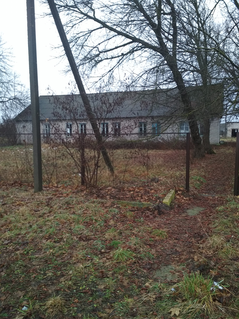 starobin2