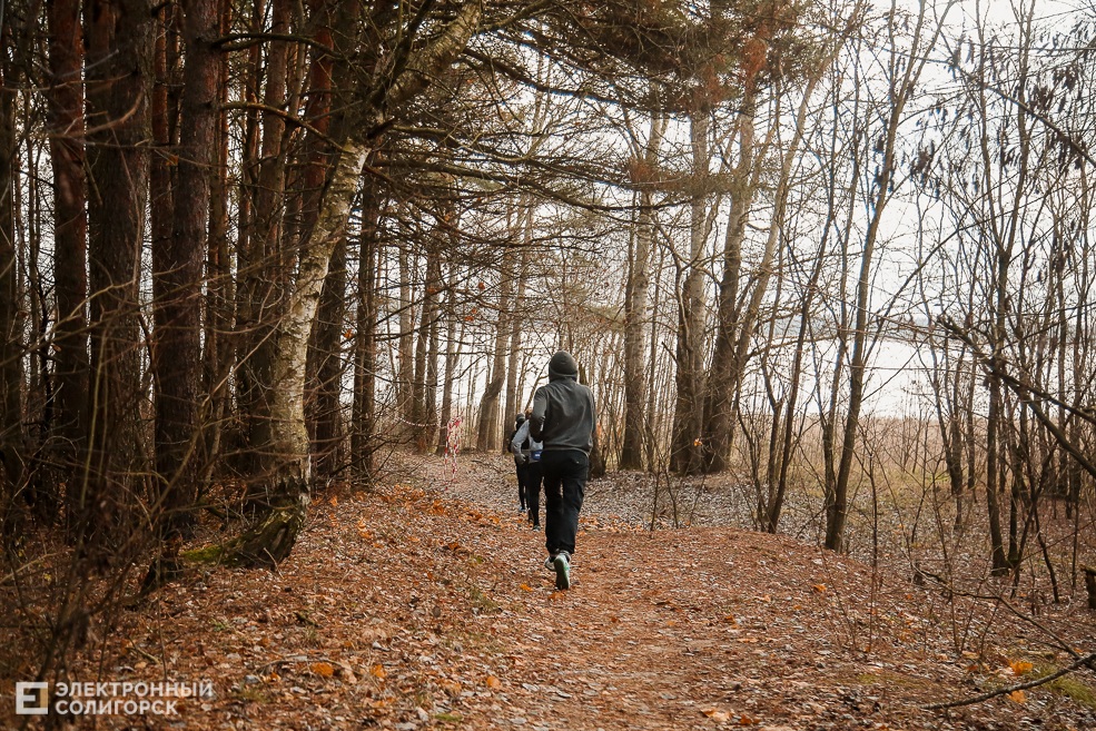 trail2