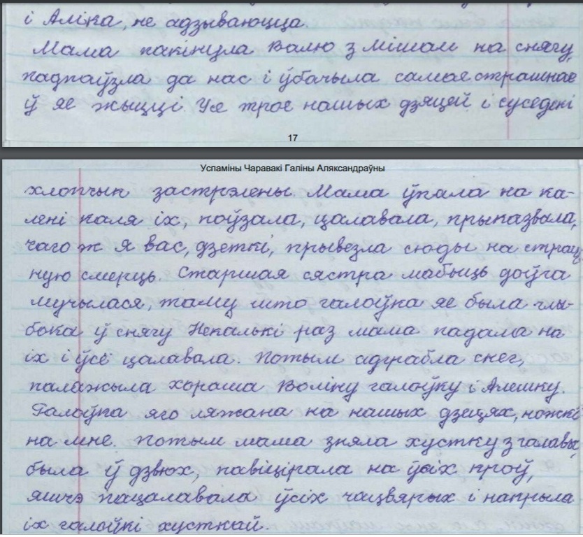 novosel1