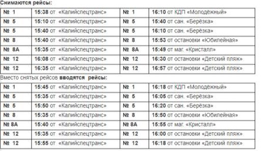 bus 31
