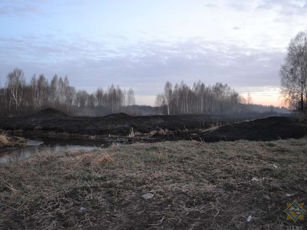 skvoshin torf 2