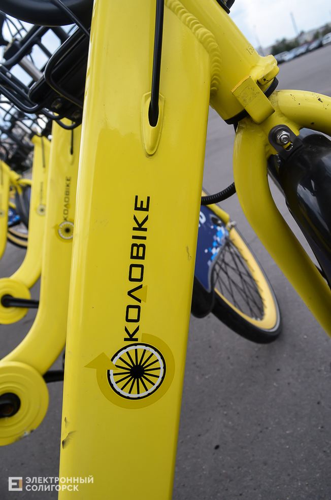 Kolobike 12