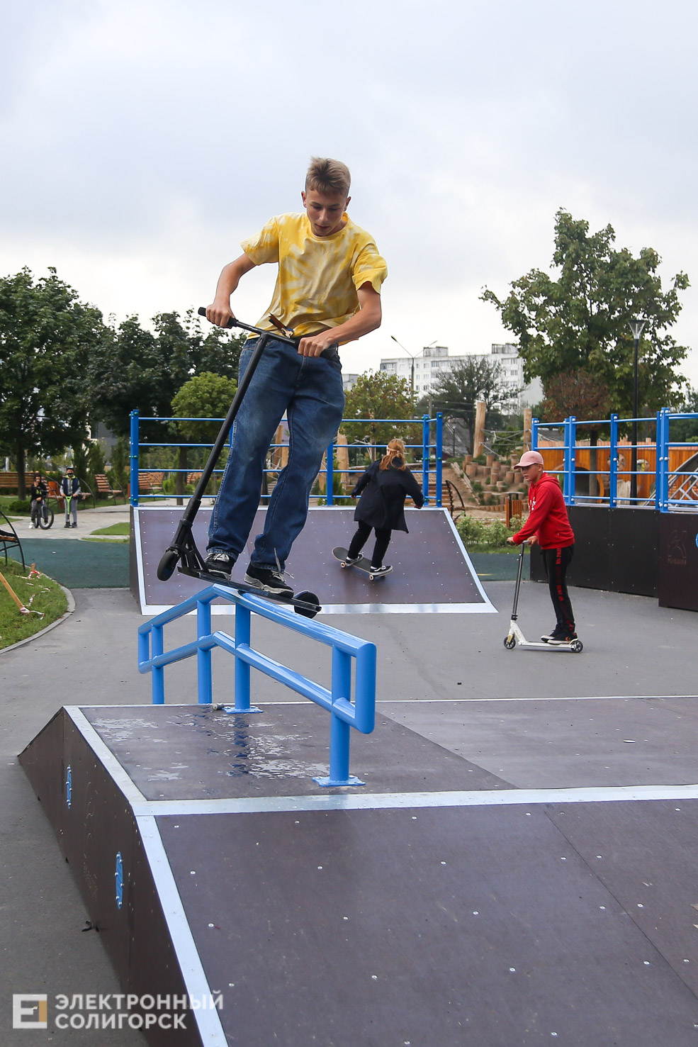 skate new 5