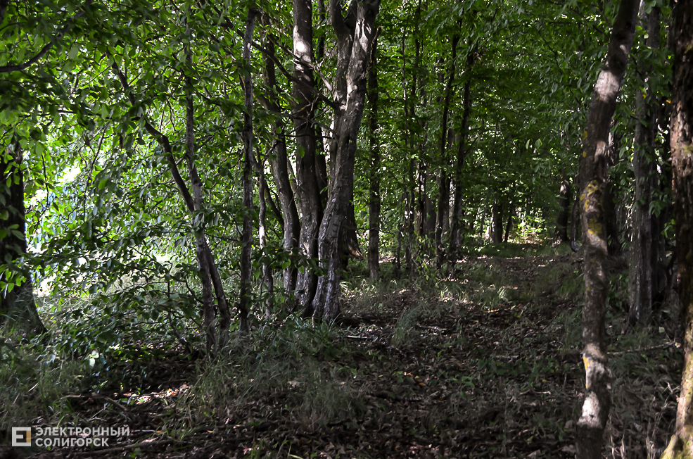 Trostenec 2