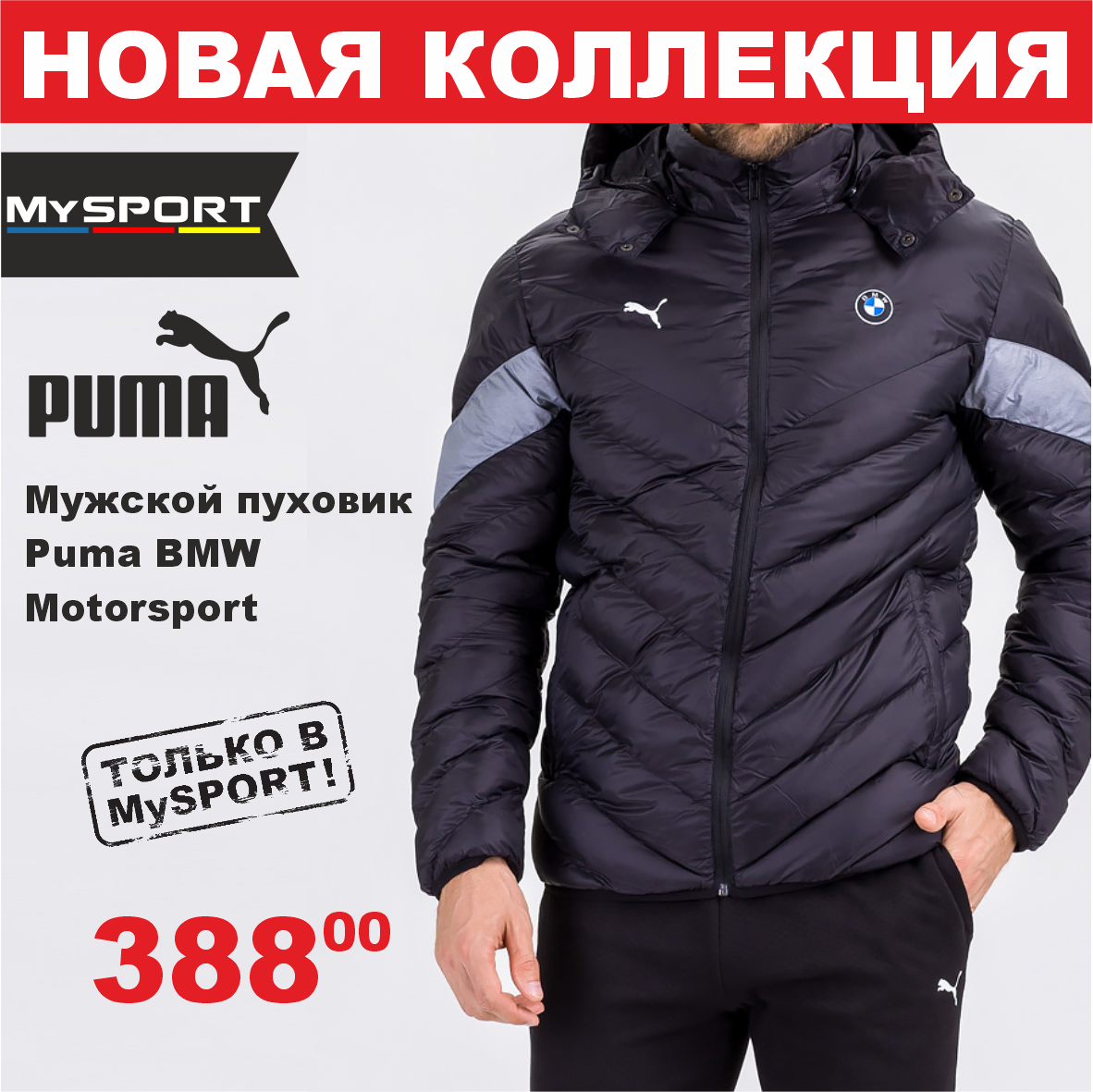 puma 6
