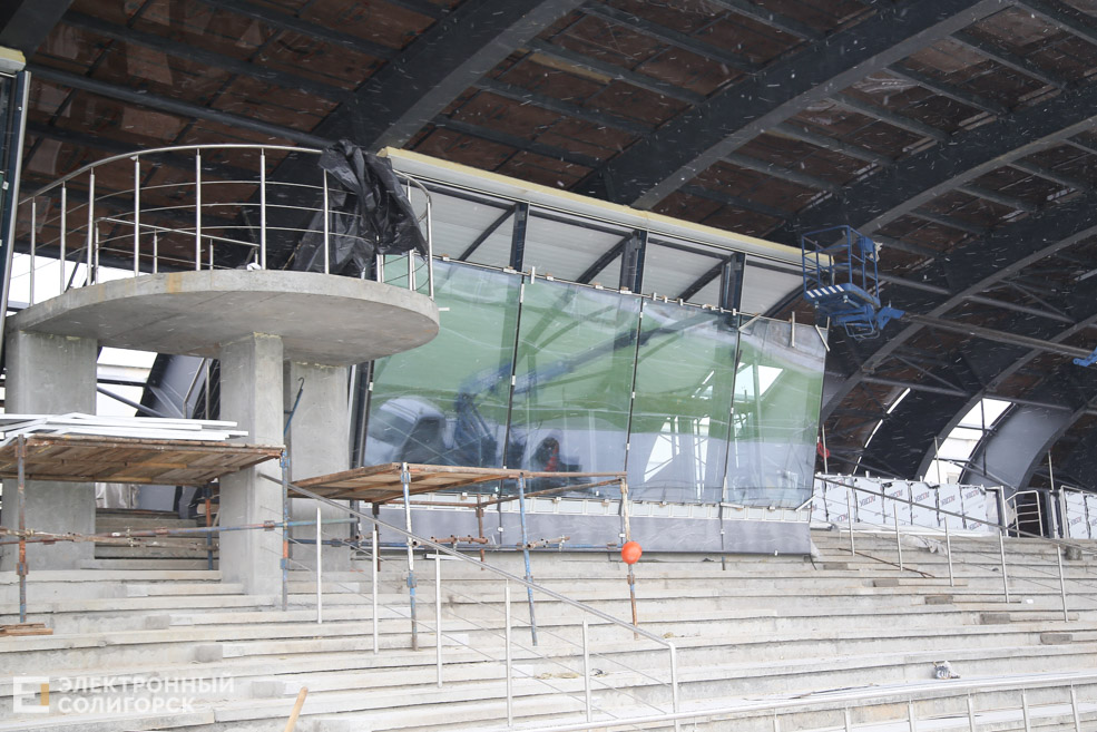 arena 5