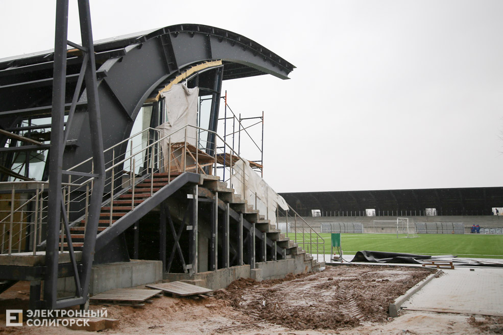 arena 6