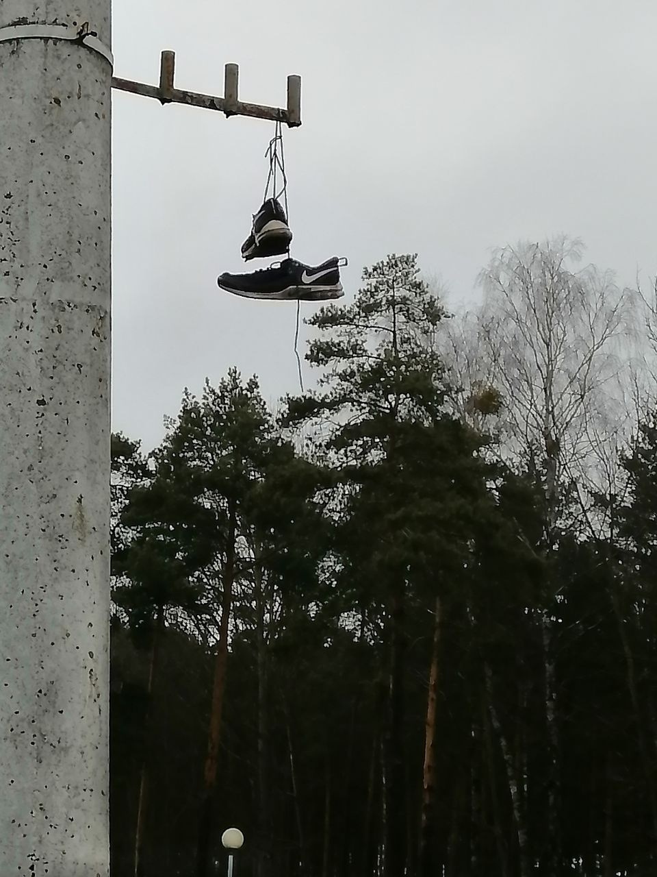 krossovki 1 1
