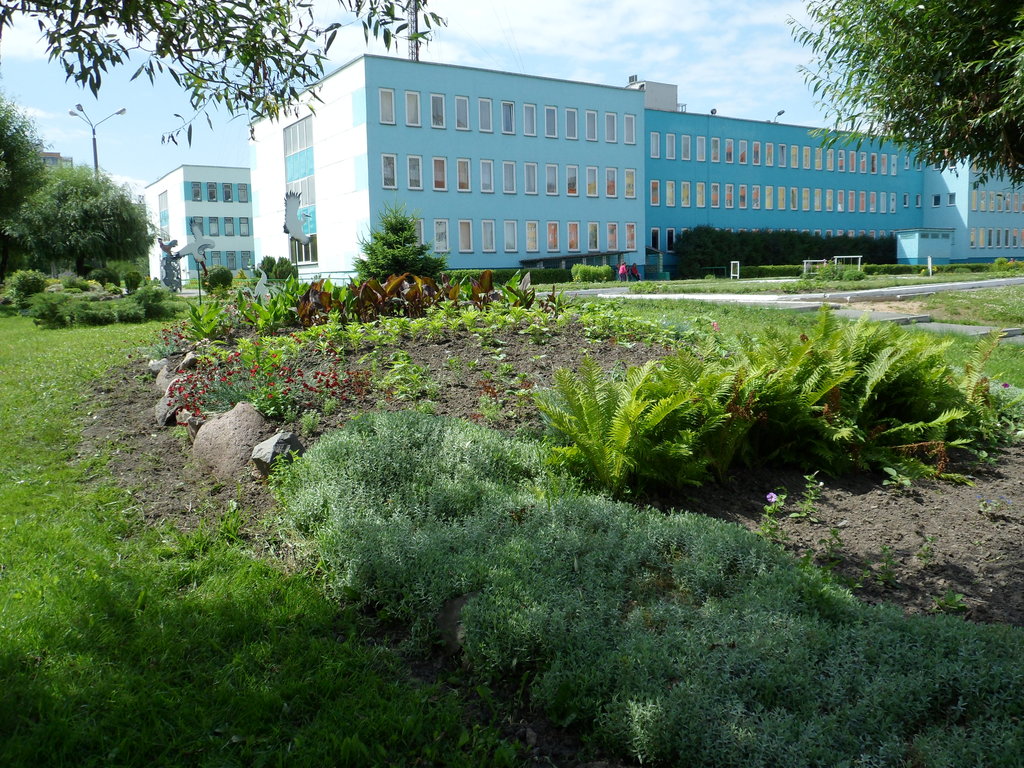 school 11