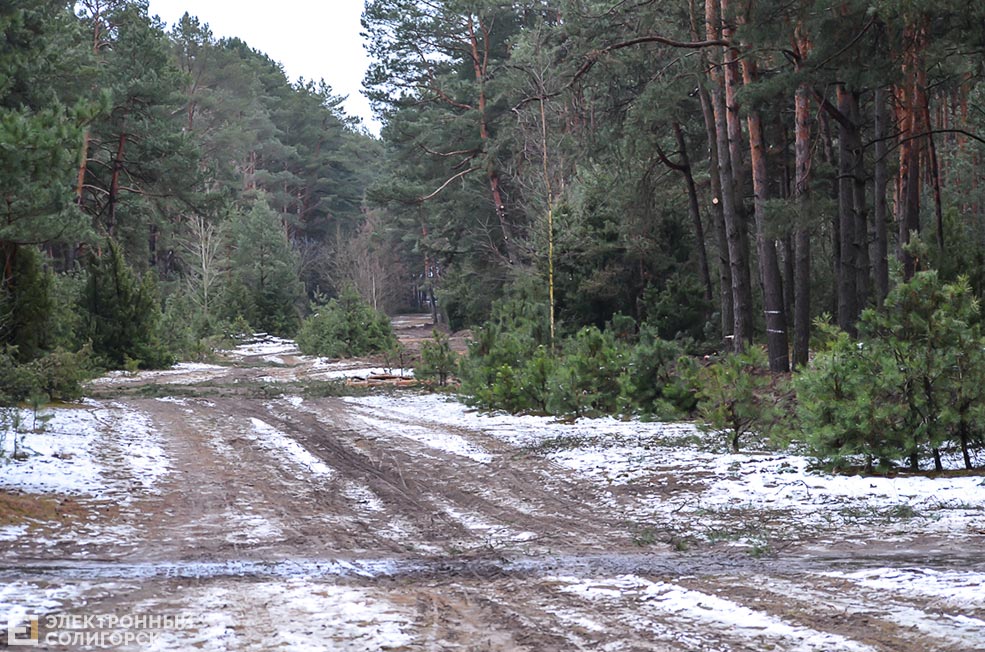 Tropa zdorovja 11