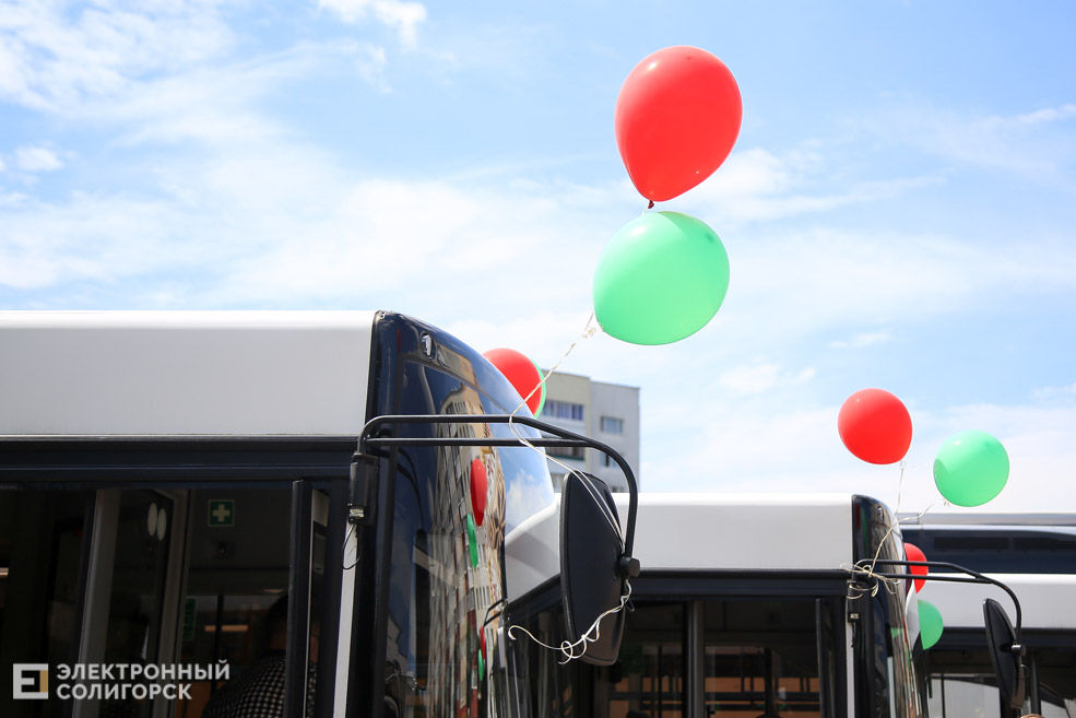 bus 5