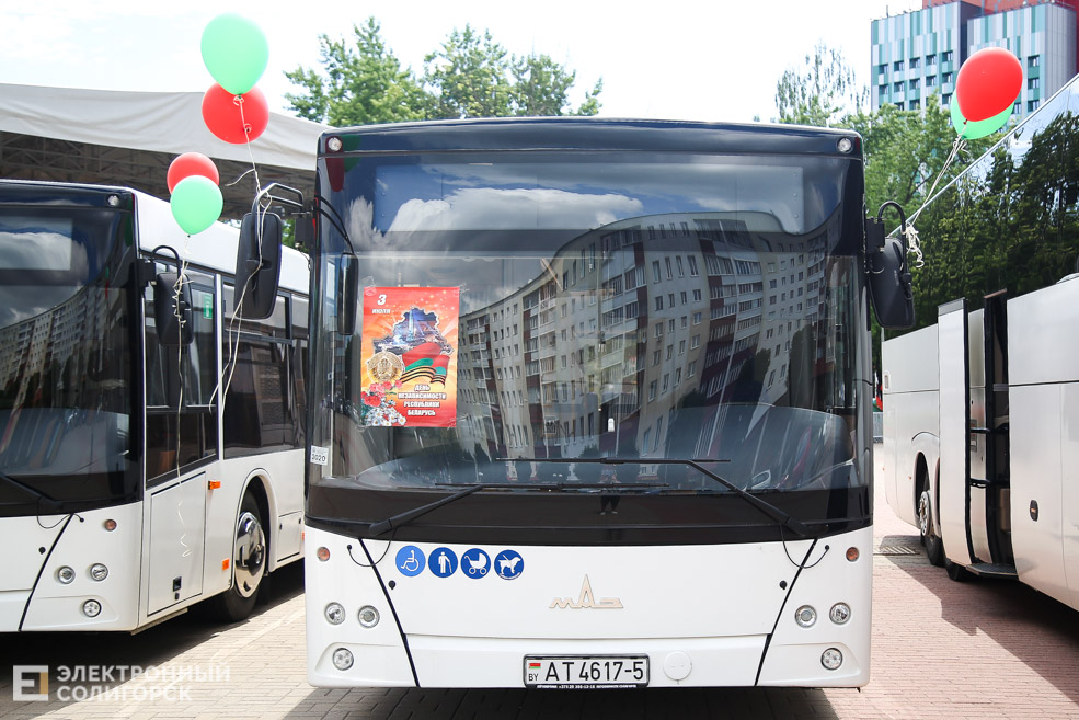 bus 6