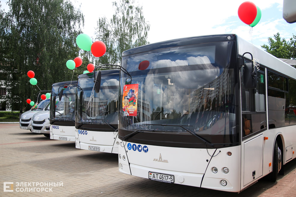 bus 7
