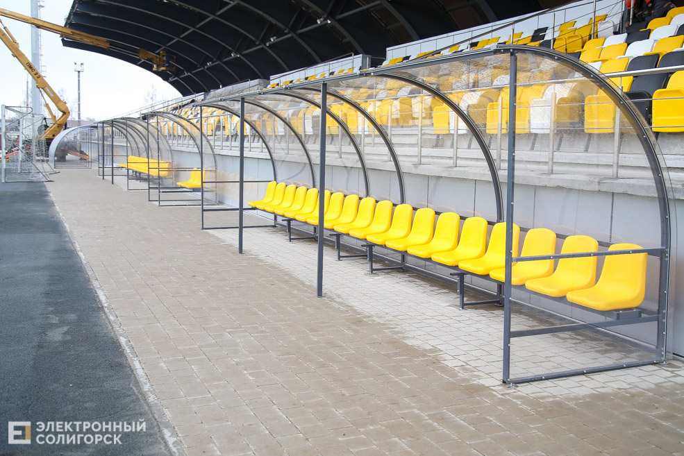arena 5