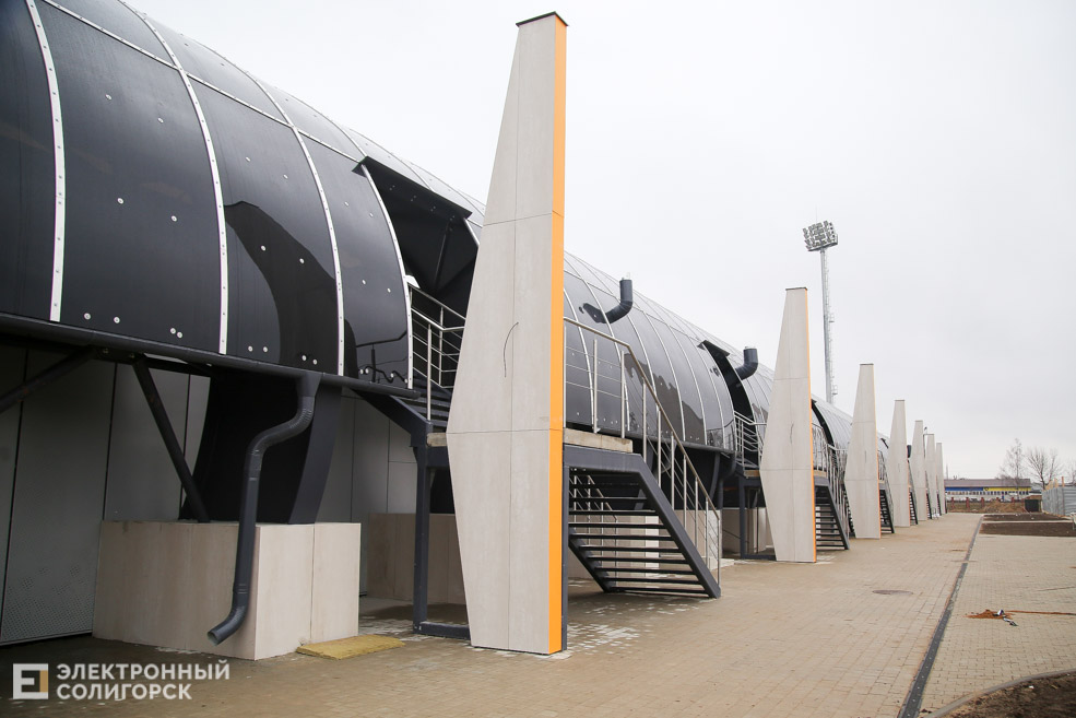 arena 6