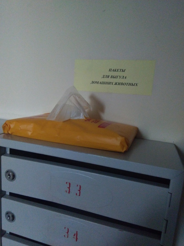 paket dly vigula 1