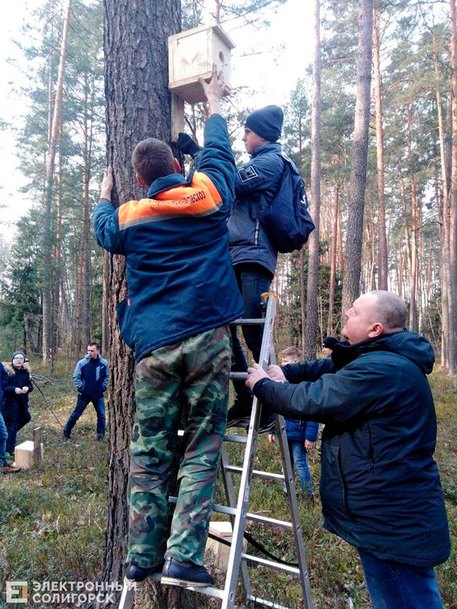 skvorechnik 13