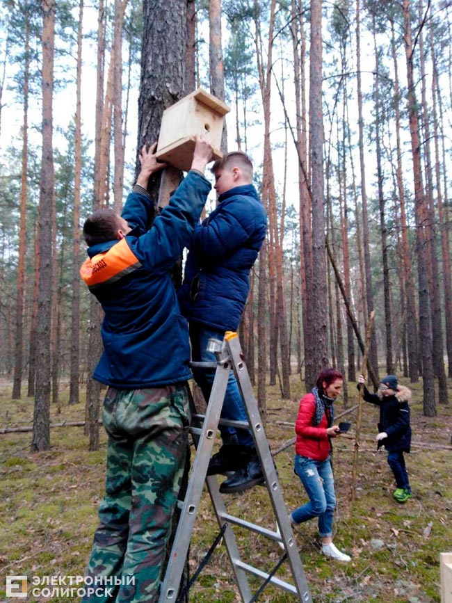 skvorechnik 3