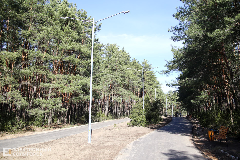 tr 13