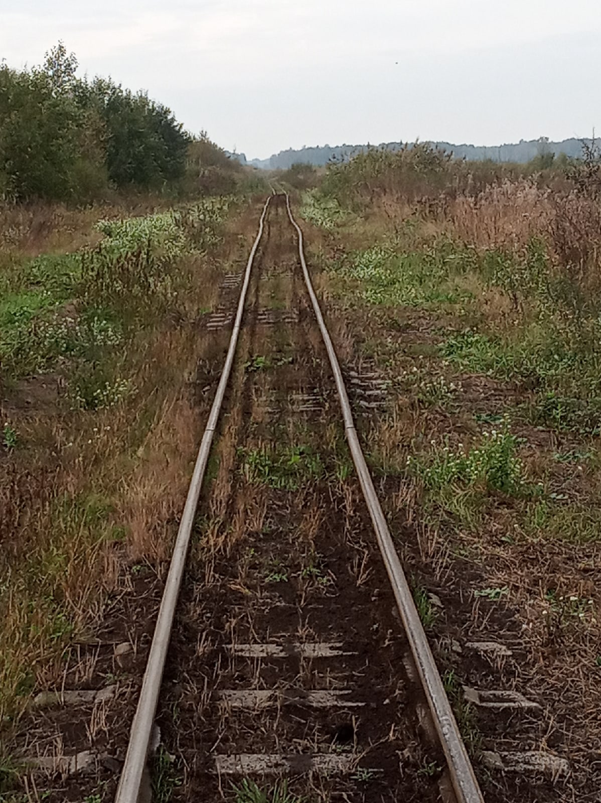 uzkokolejka 6
